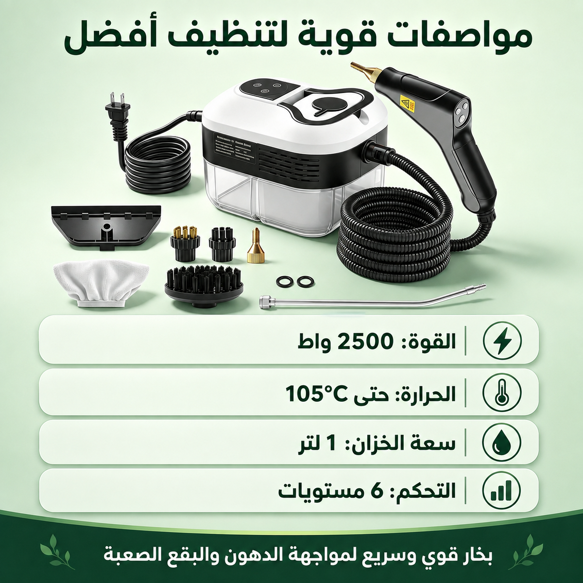 High Pressure 6 level Steam Cleaner 2500W