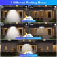 Solar Motion Sensor Outdoor Lights, 360° Rotatable, IP65 Waterproof Security Light