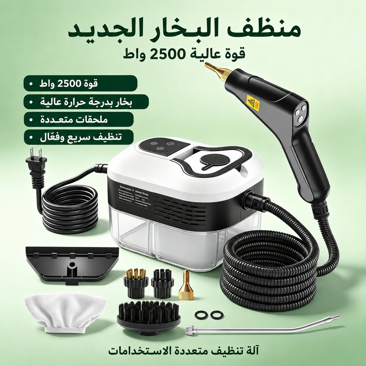 High Pressure 6 level Steam Cleaner 2500W