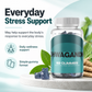 Ashwagandha Gummies everyday stress support