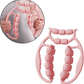 Circular Massager Muscle Roller Deep Tissue Massage for Gym Indoor