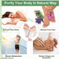 Detox Foot Patches Pain Free Foot Pads for Stress Relief- SET OF 2